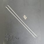 Silver Nupur (Anklet) — 70 Tons, 10.5 inch (1 vori 7 ana 5 rotti)